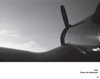P 40