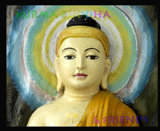 Cover 2