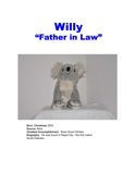 3 - Willy