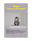 4 - Paul