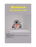 13 - Bismarck