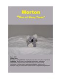 21 - Morton