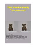 25 - The Yomikos