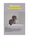 29- Winston