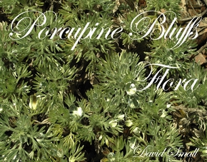 Porcupine Bluffs Flora