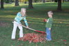When you give them the leaves, they'll start raking.