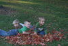 As they're jumping, they'll realize they need a new pile of leaves.  And chances are...