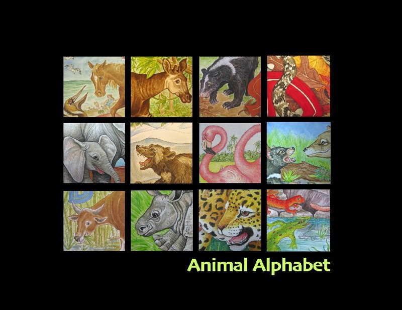 Animal Alphabet