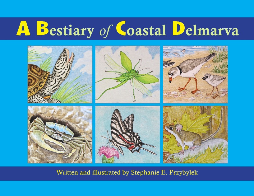 A Bestiary of Coastal Delmarva