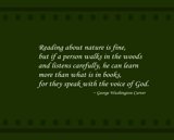 Interpretations Uploads 03 2009 006