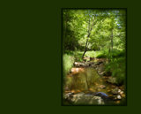 Interpretations Uploads 03 2009 007