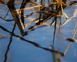 Interpretations Uploads 03 2009 019