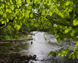 Interpretations Uploads 03 2009 021