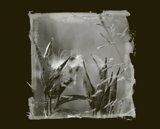 Interpretations Uploads 03 2009 025