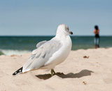 Interpretations Uploads 03 2009 027