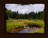 Interpretations Uploads 03 2009 029