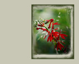 Interpretations Uploads 03 2009 037