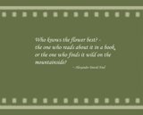 Interpretations Uploads 03 2009 040