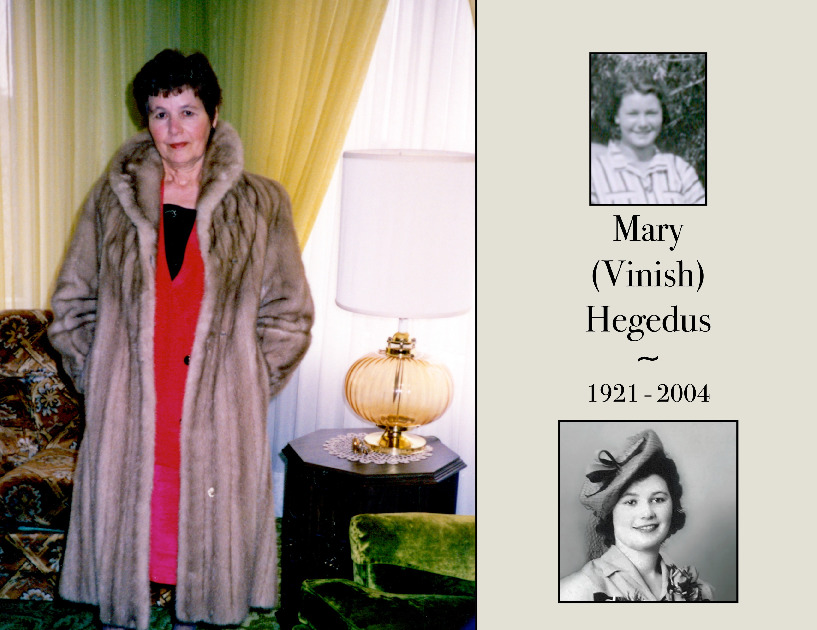 Book - Mary Vinish Hegedus