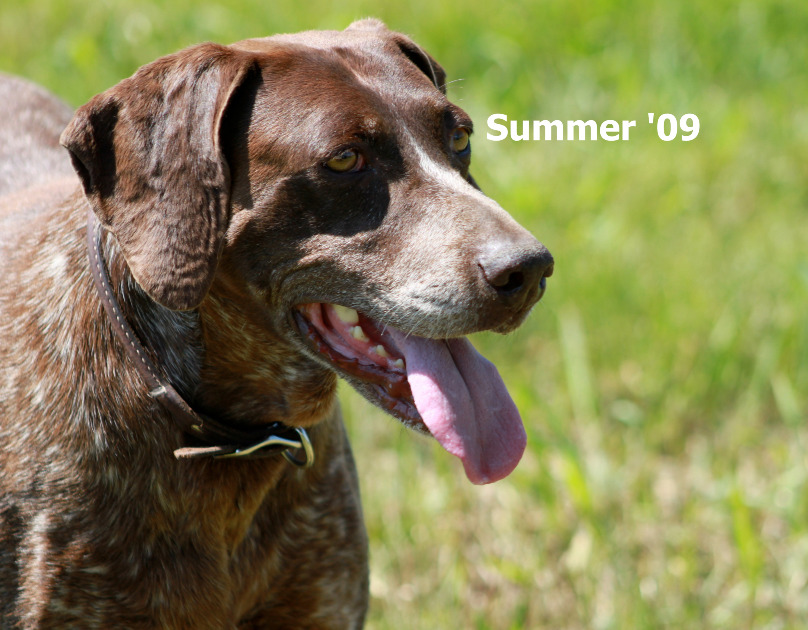 Summer '09