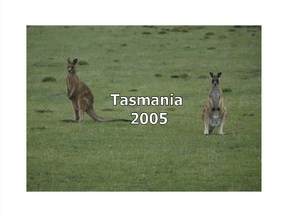 Tasmania