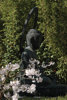 7 budda