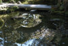 15 bridge