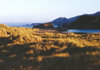 31 seashore