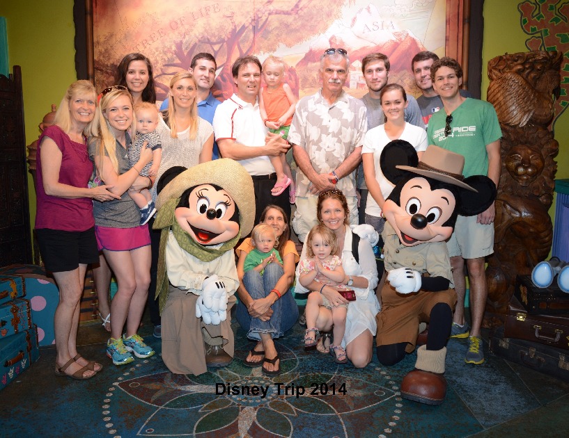 Disney 2014