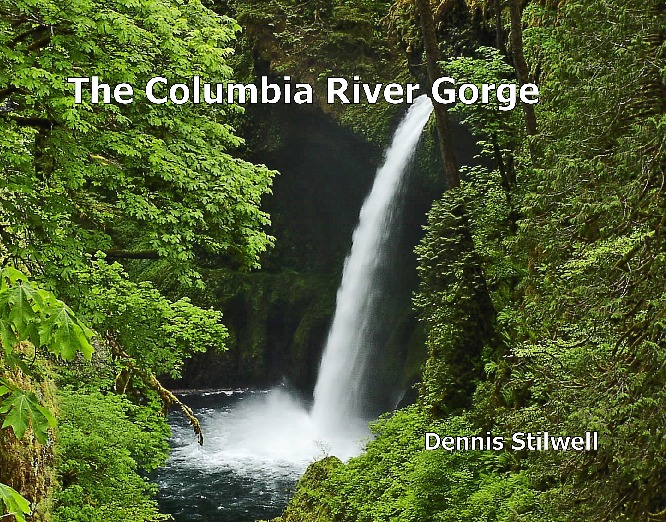 Dennis Stilwell's Gallery