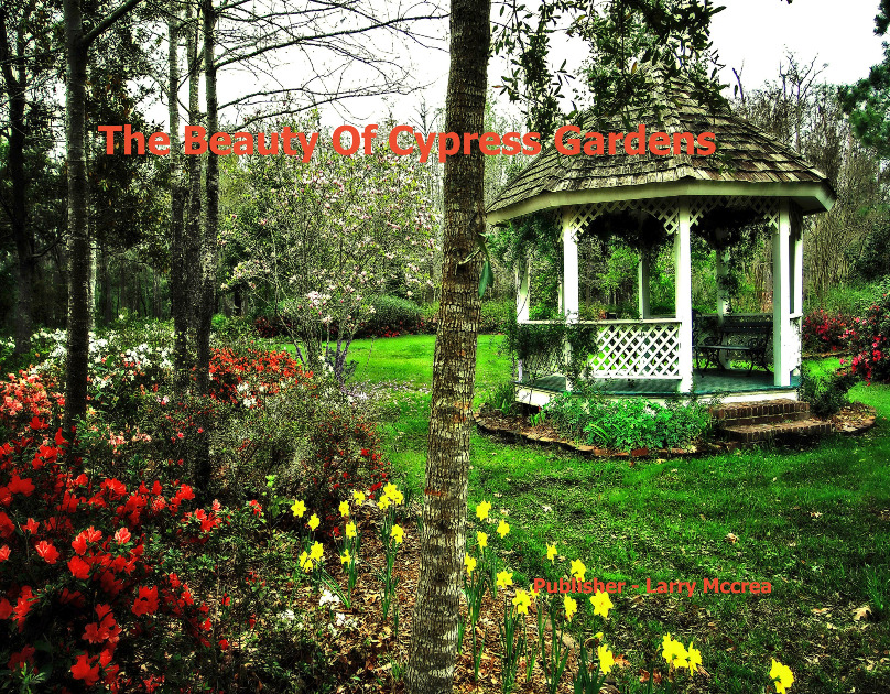 The Beauty Of Cypress Gardens1