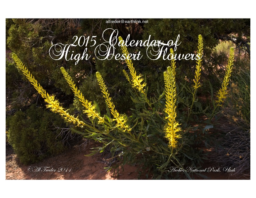2015 Calendar of High Desert Flowers