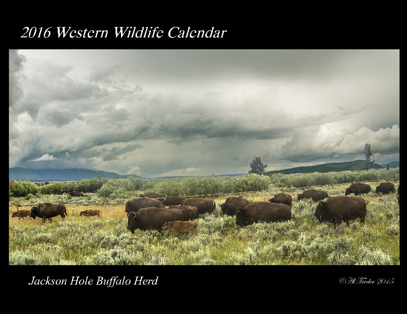 2016 Western Wildlife Calendar