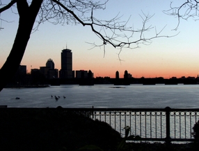 Jenn Andersen's Gallery