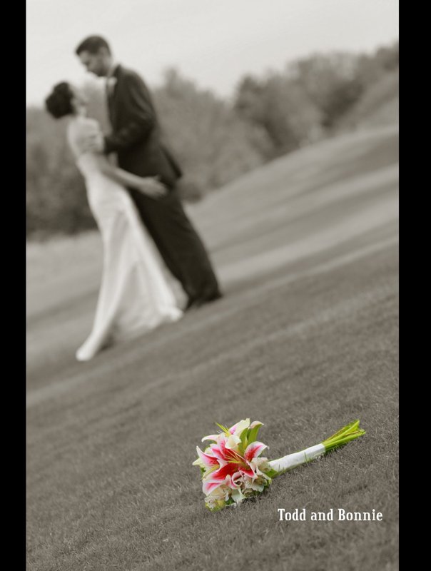 Bonnie and Todd Wedding