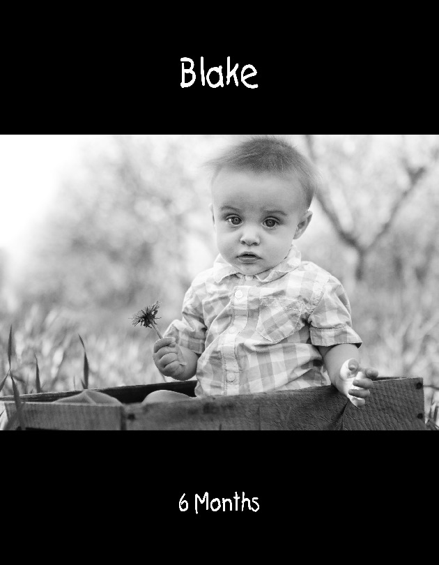 Blake