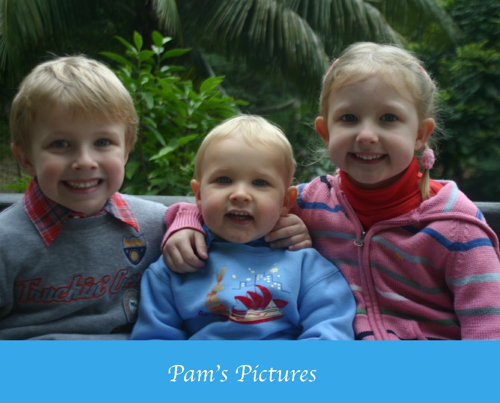 Pam's Birthday Album