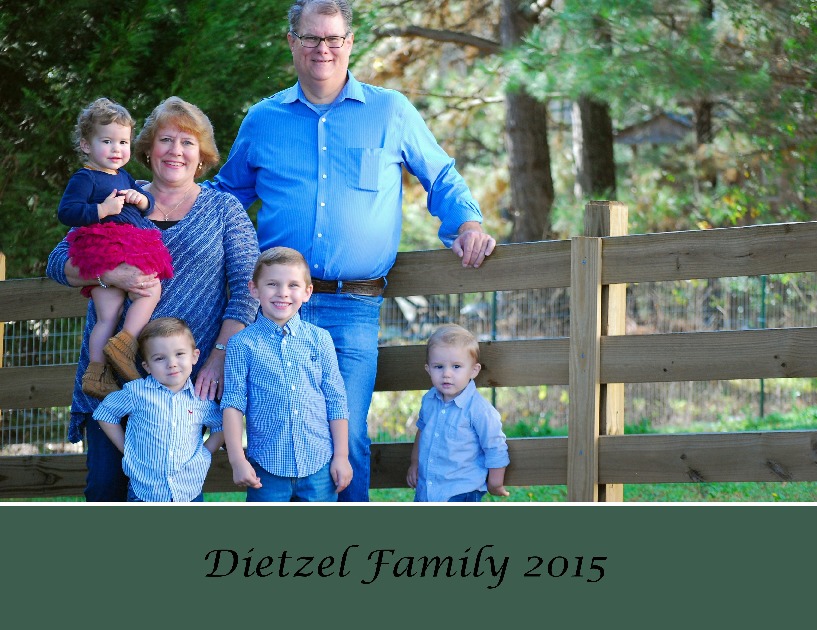 Dietzel 2015