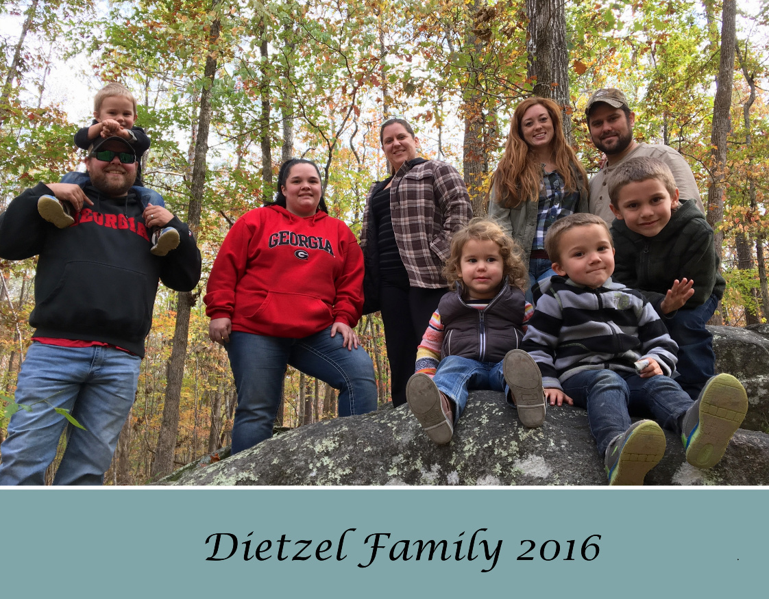 Dietzel 2016