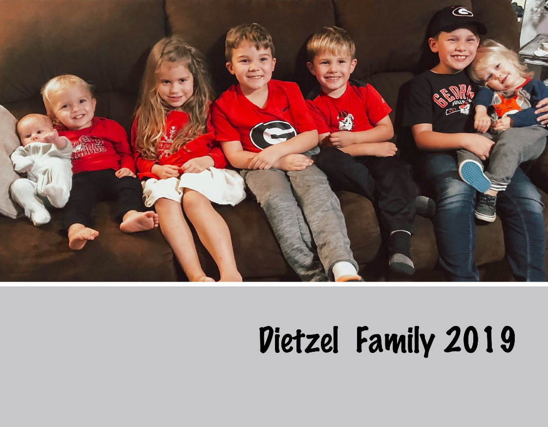 Dietzel 2019