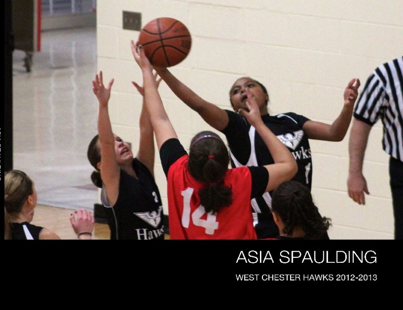 ASIA SPAULDING'S LARGE BOOK