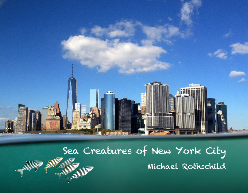 Sea Creatures of New York City, 2nd Edition