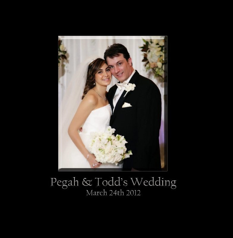 Pegah & Todd's Reception