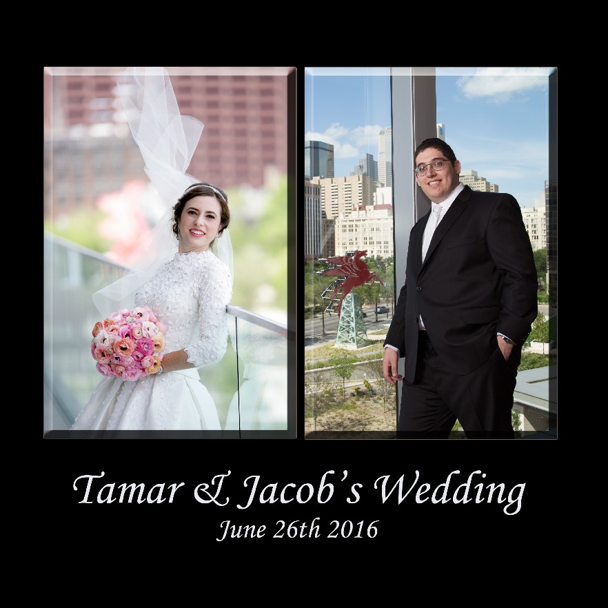 Tamar and Jacob Book 2