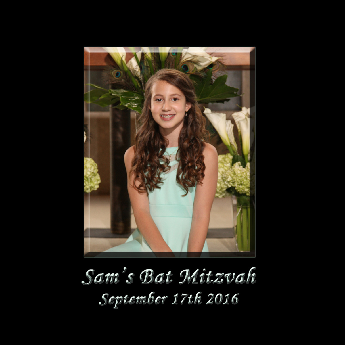 Sams Bat Mitzvah Book 1