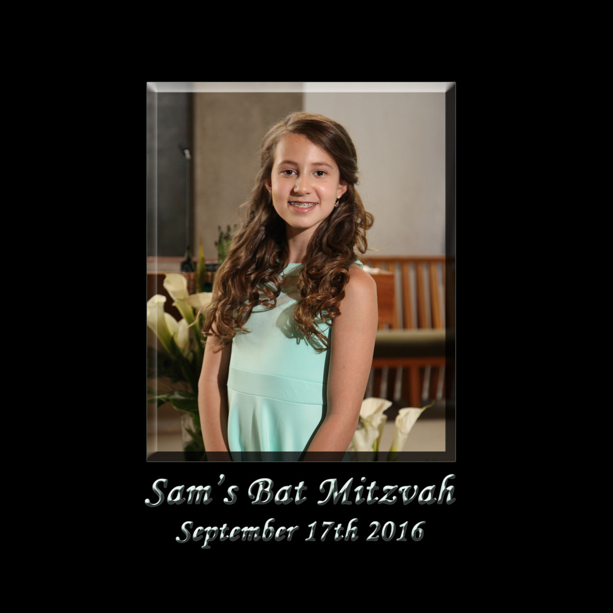 Sams Bat Mitzvah Book 2