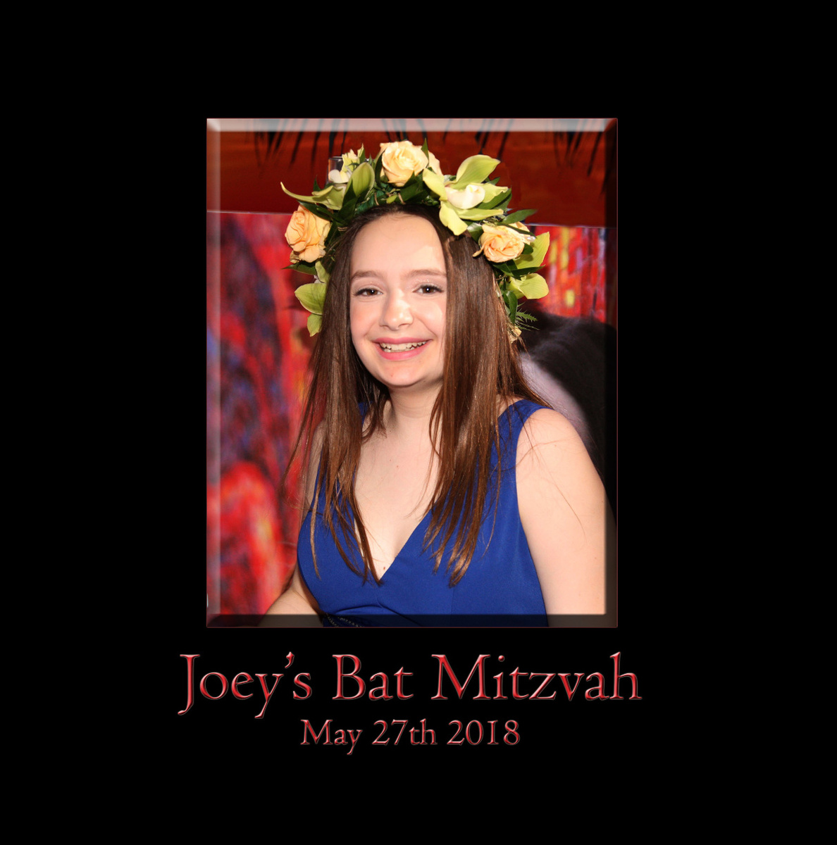 Joey's Bat Mitzvah - Book 2