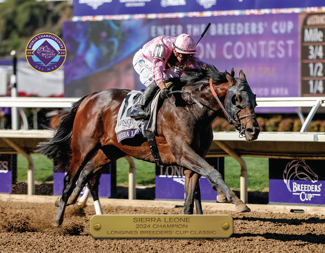 2024 Breeders&#39; Cup Classic Champion