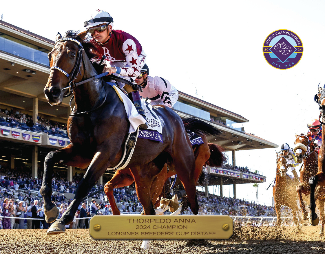 2024 Breeders&#39; Cup Distaff Champion