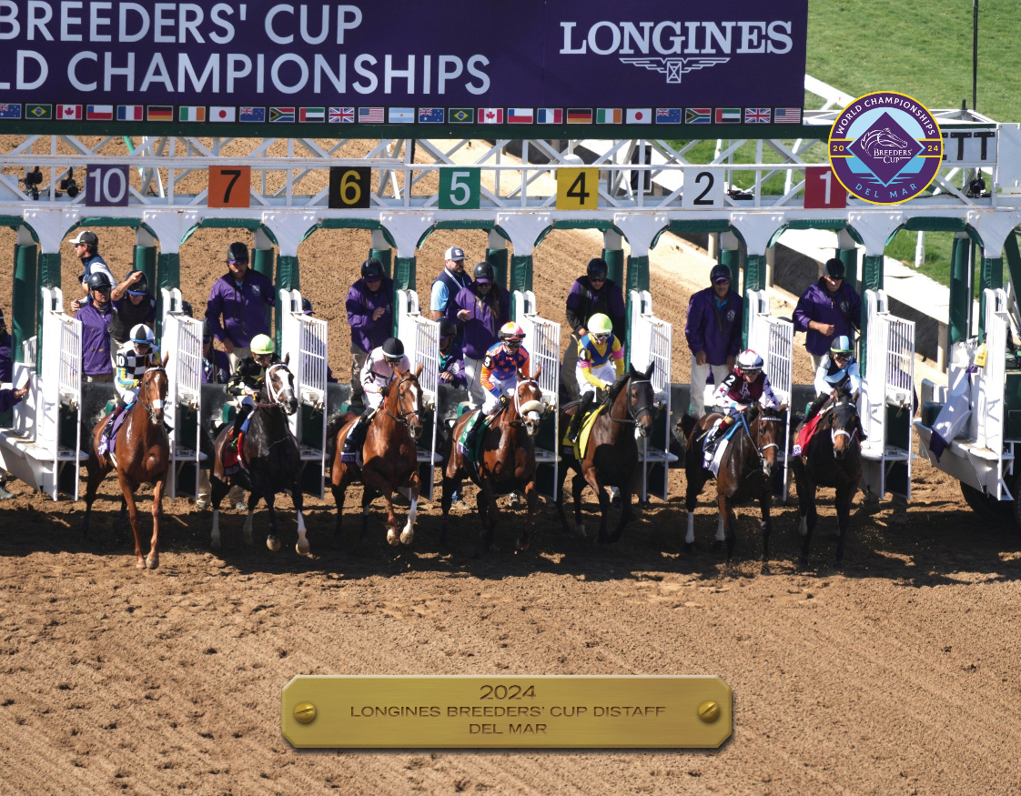 2024 Breeders&#39; Cup Distaff Participant